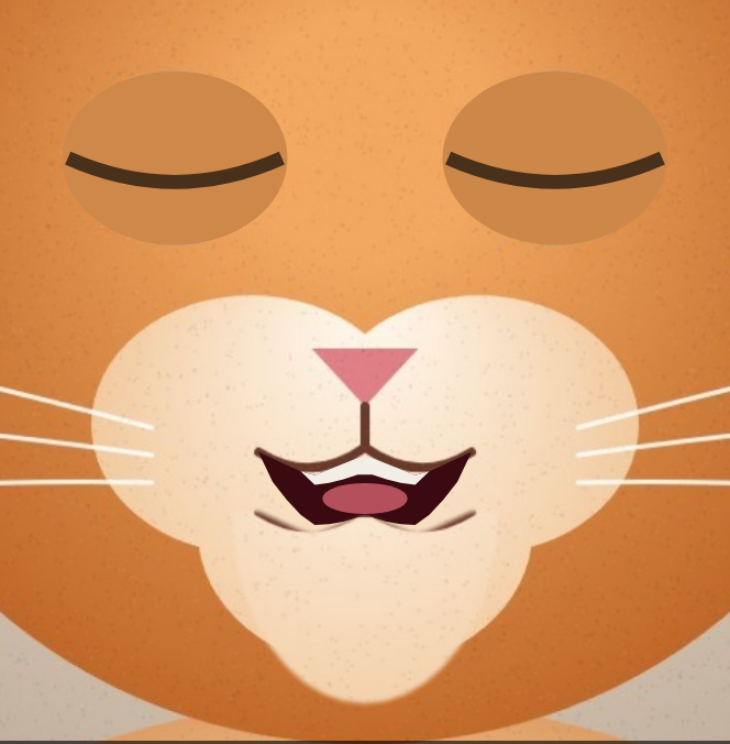 Close-up of the cat with its eyes closed mid-blink